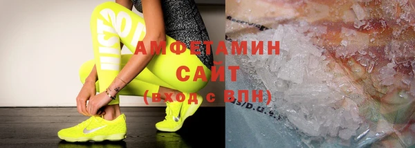 шишки Осинники