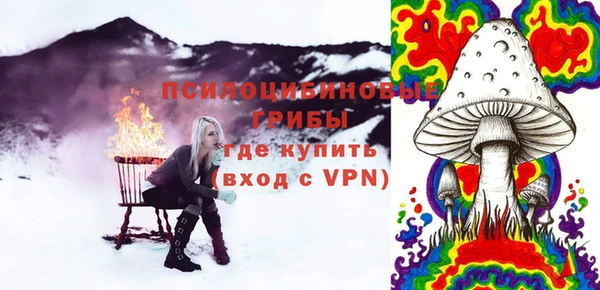 spice Краснослободск