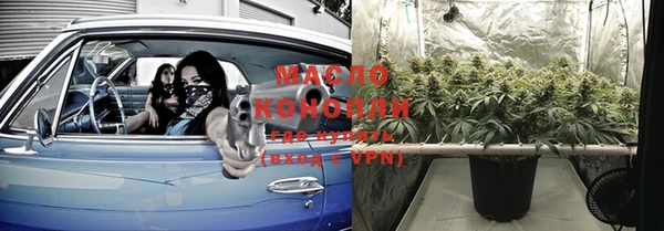 первитин Новодвинск