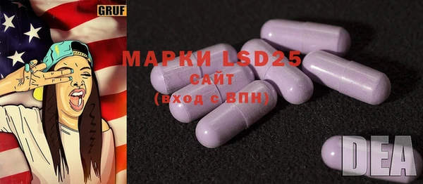 spice Краснослободск